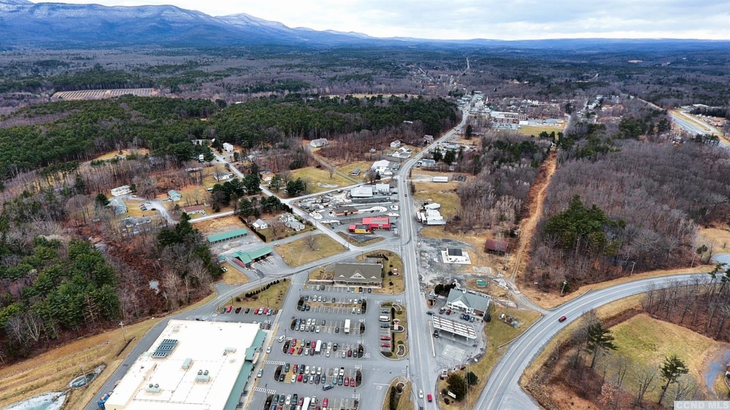 189 Main Street Cairo, NY 12413 - Photo 35 of 57 an aerial view of multiple house