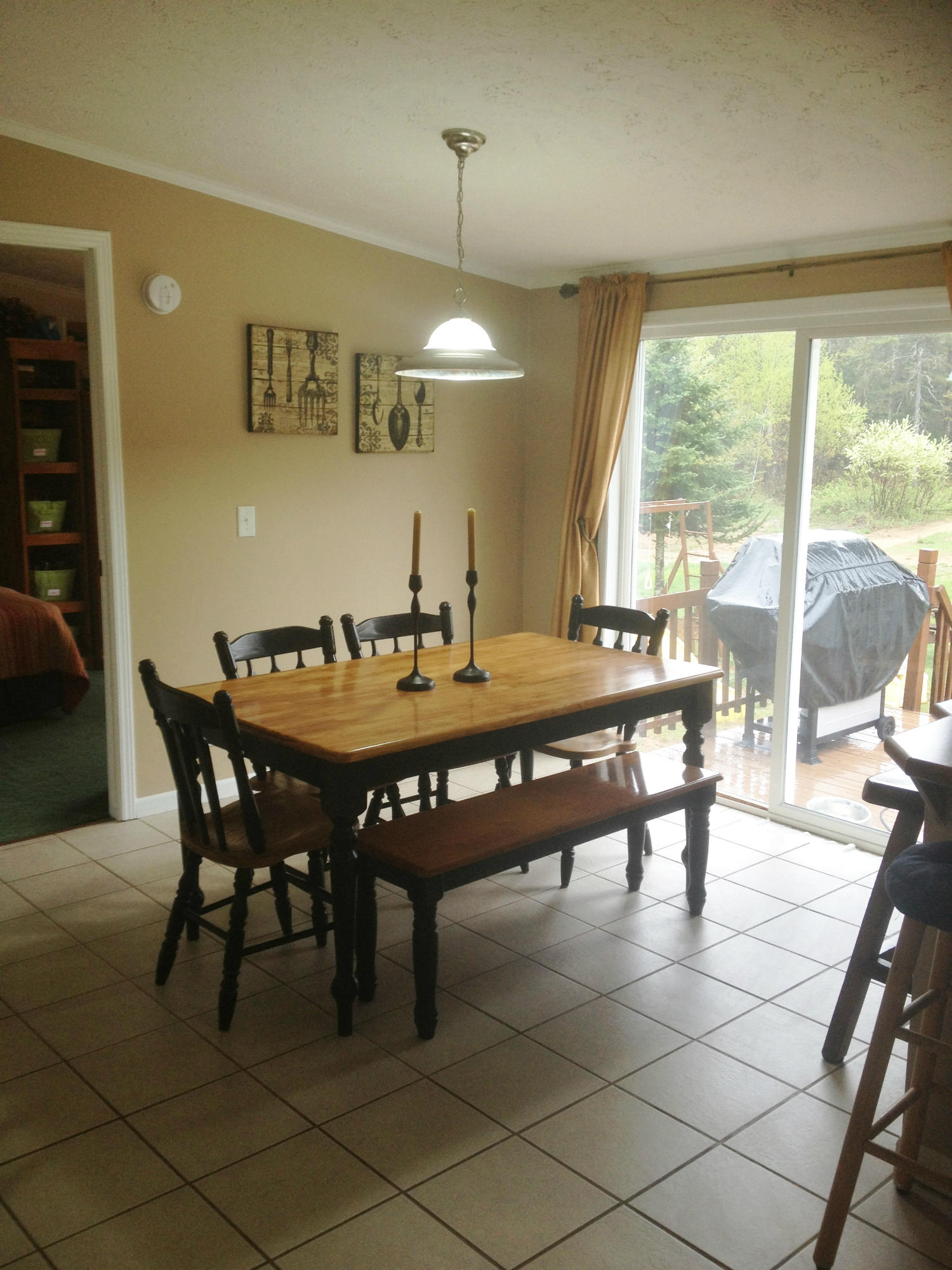 681 West 20 Mile Road Dafter, MI 49724 - Photo 3 of 50 Gallery Image 3