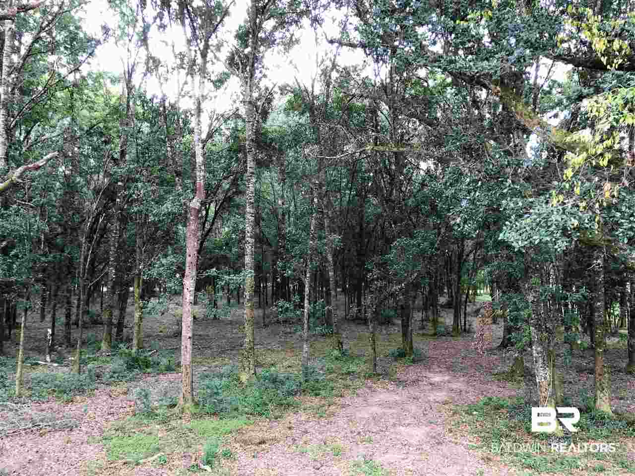 16440 Newman Road Summerdale, AL 36580 - Photo 5 of 29 Property Road