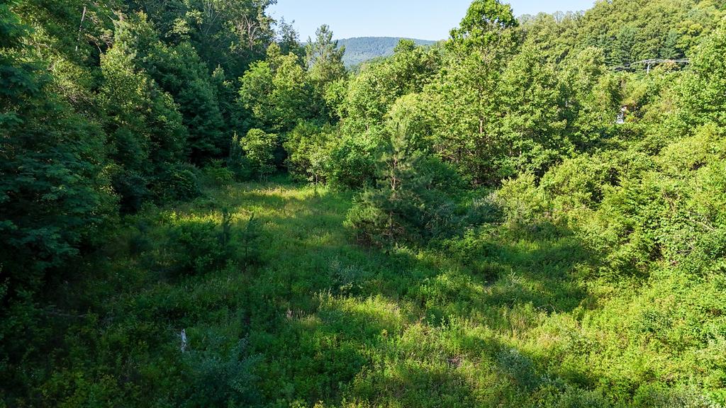 0 Mount Calvary Church Road Stuart, VA 24171 - Photo 8 of 13 Gallery Image 8