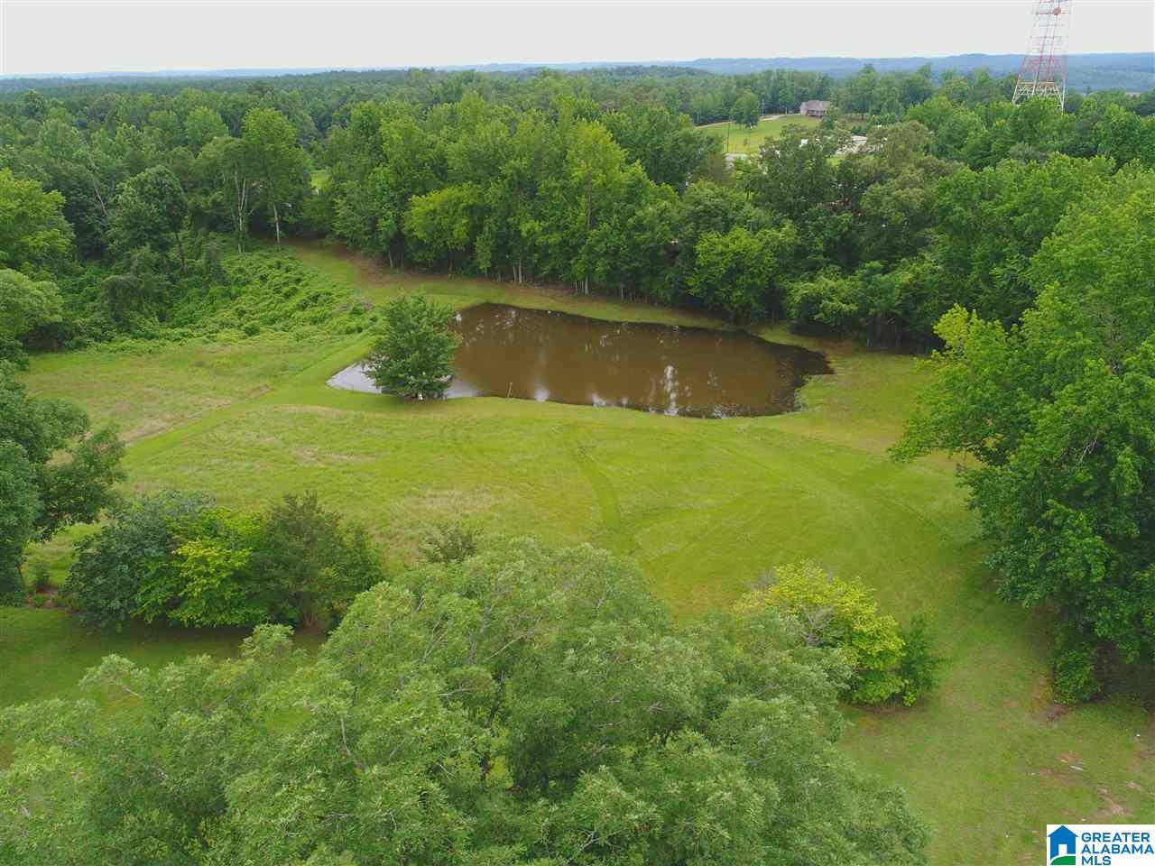 1670 Dutton Hill Road Oakman, AL 35579 - Photo 38 of 44
