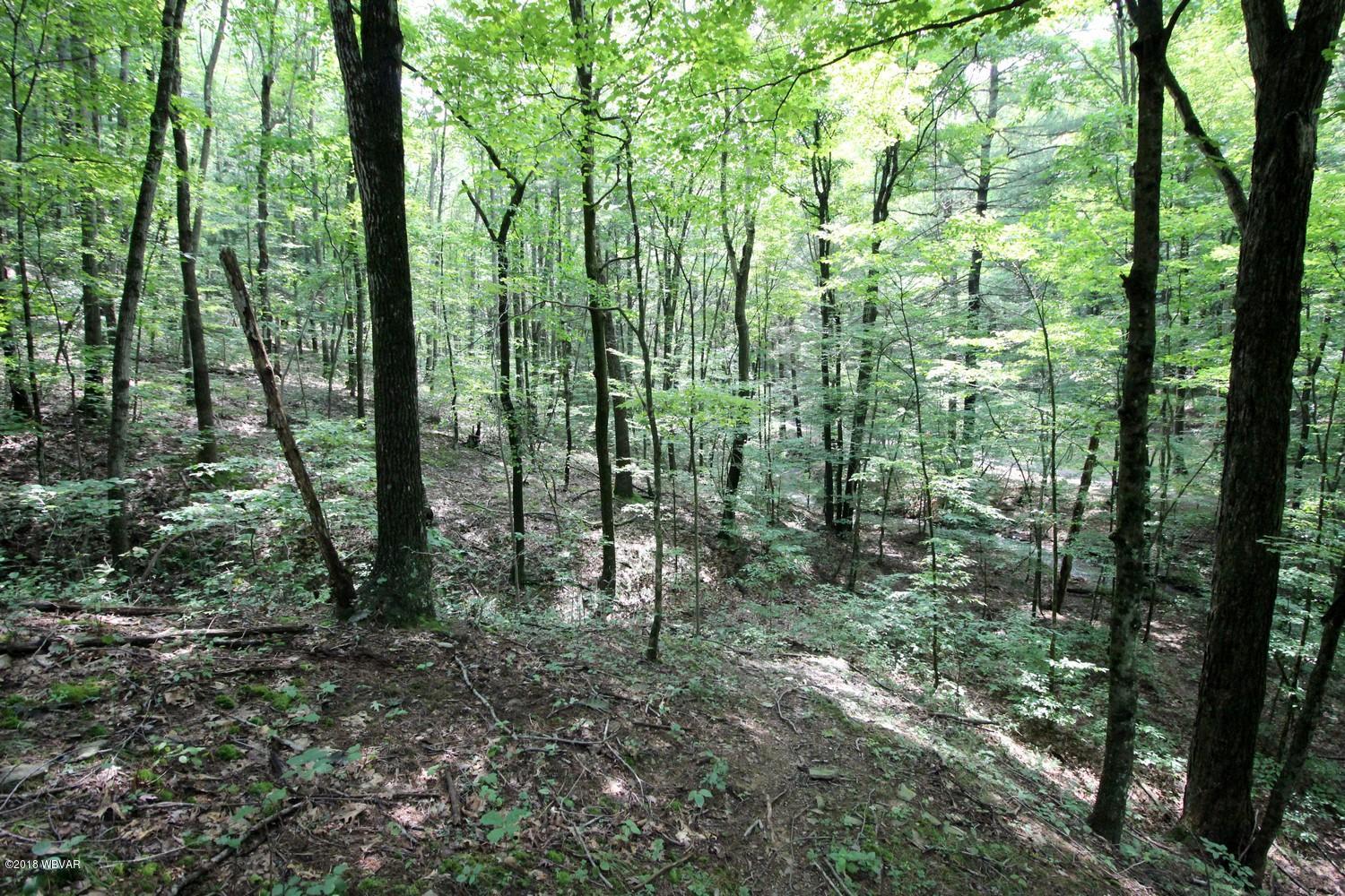 0 Antis Run Road Howard, PA 16841 - Photo 5 of 6 005