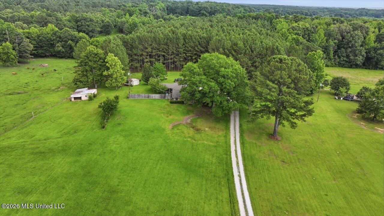 873 Bryan Road Walnut Grove, MS 39189 - Photo 41 of 72 46-873 Bryan Rd _ Hometoursms.com