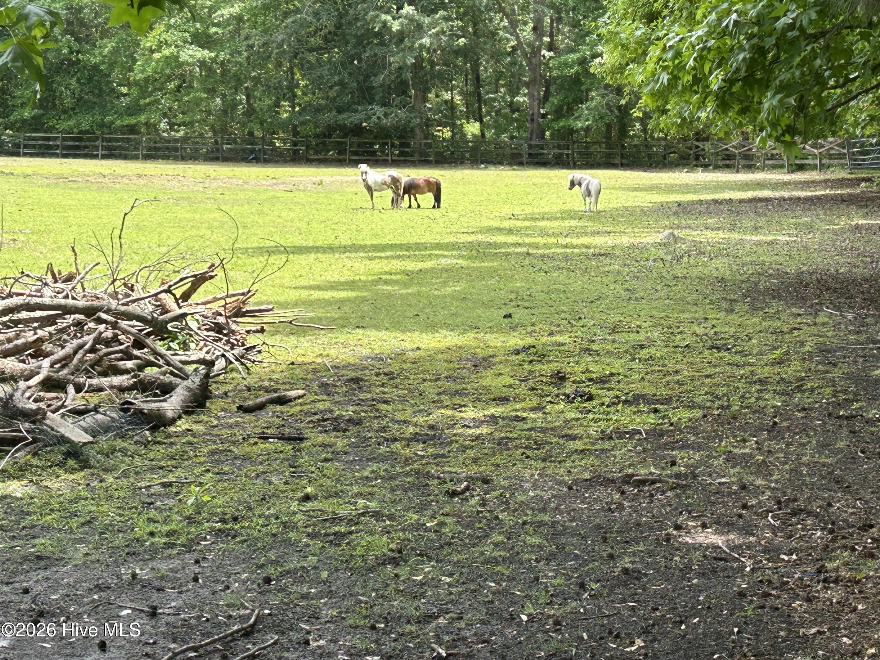 768 Bethesda Church Road Orrum, NC 28369 - Photo 32 of 65