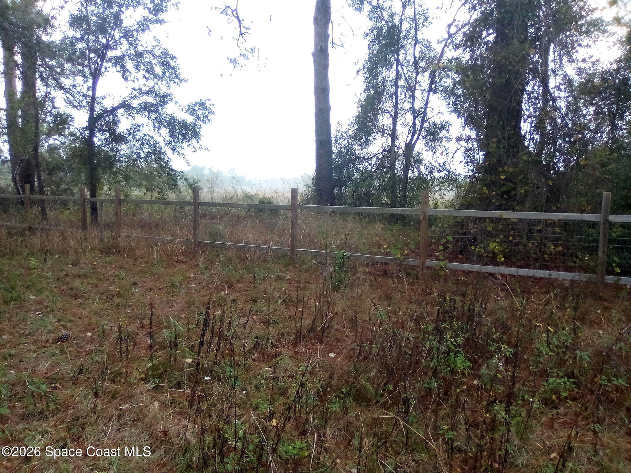 44721 Forest View Road DeLand, FL 32720 - Photo 4 of 14 5257835462213966254 (1)