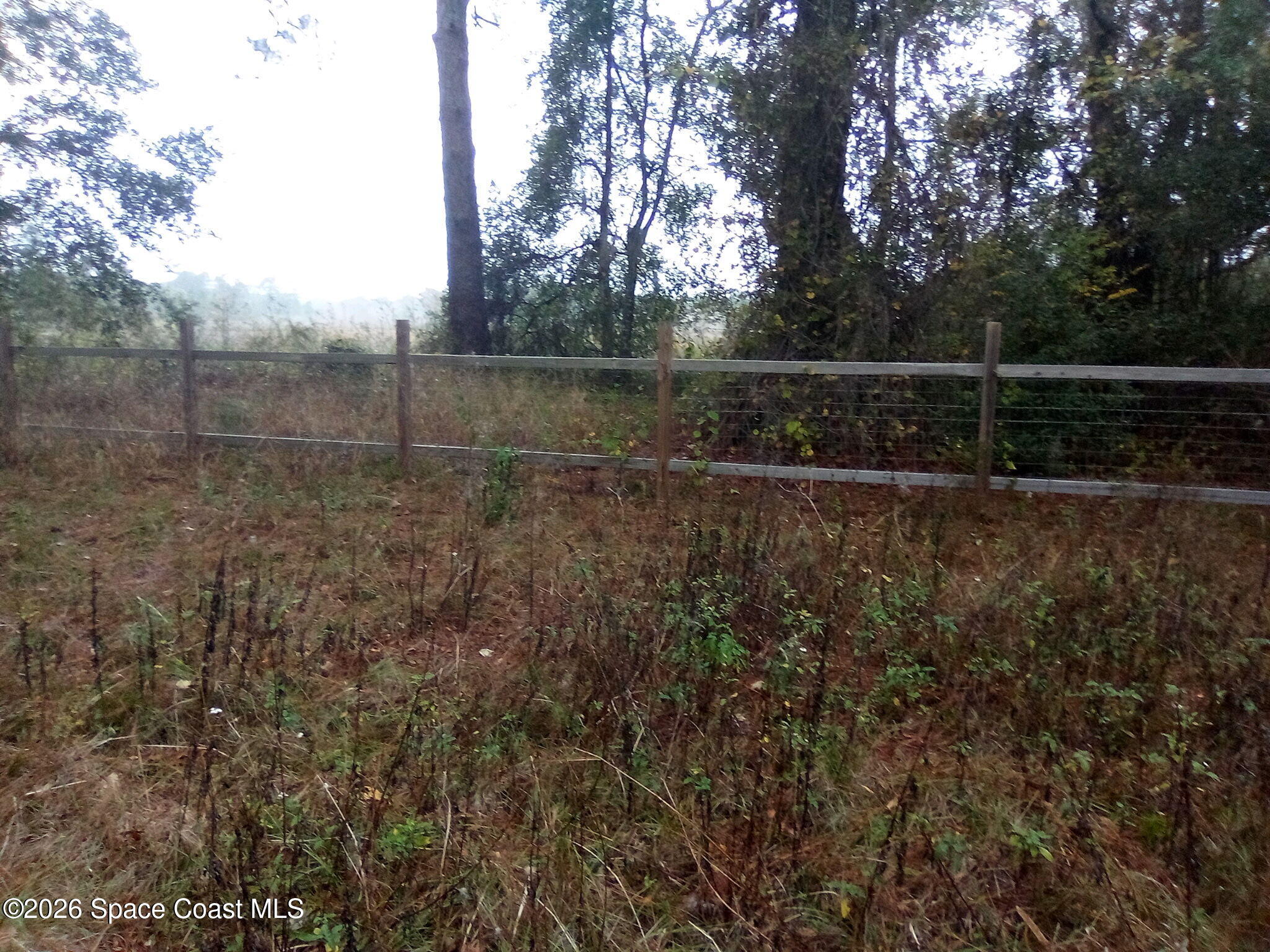 44721 Forest View Road DeLand, FL 32720 - Photo 5 of 14 878476295399028524 (1)