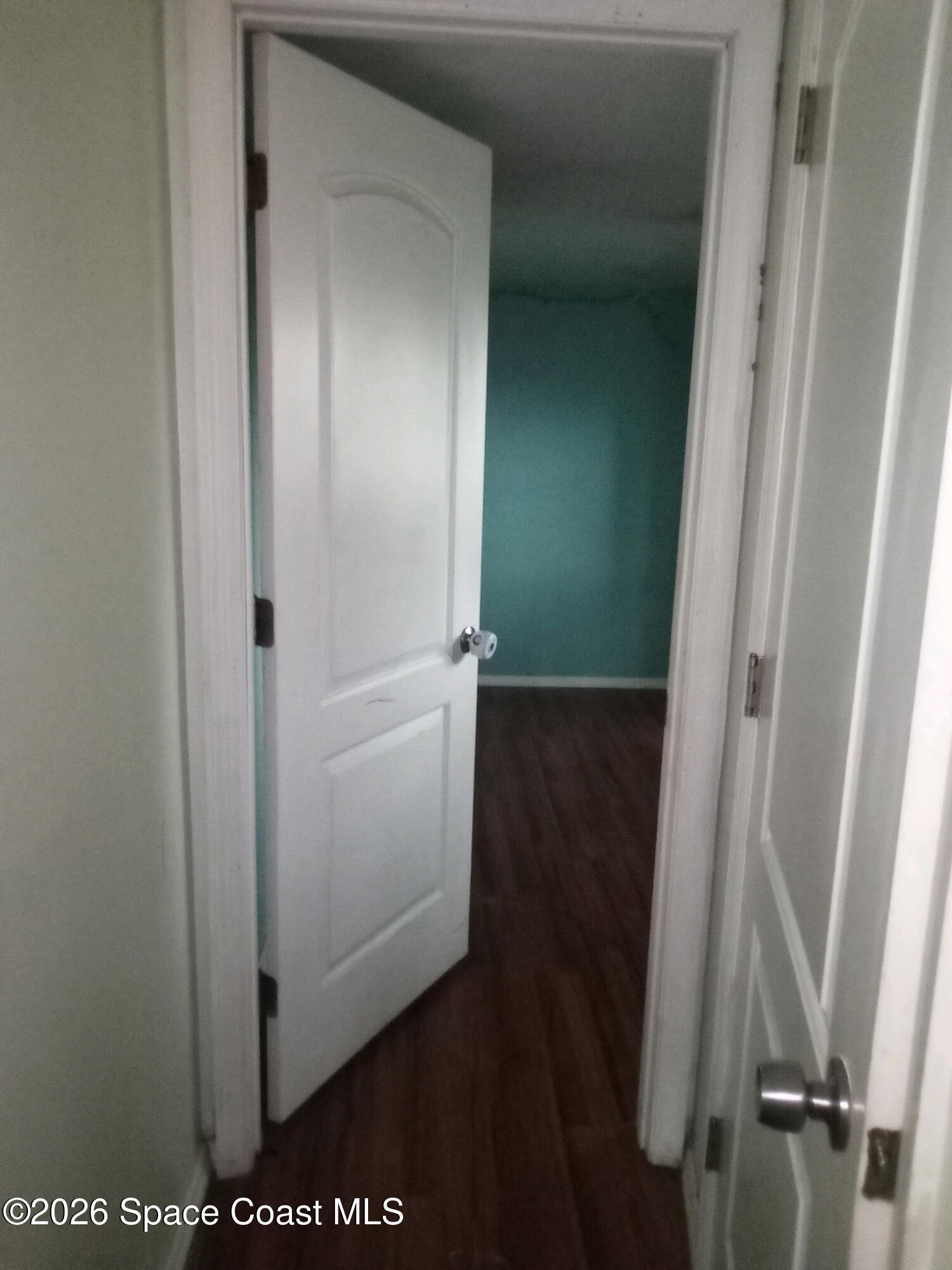 44721 Forest View Road DeLand, FL 32720 - Photo 8 of 14 2731485535478077172 (1)