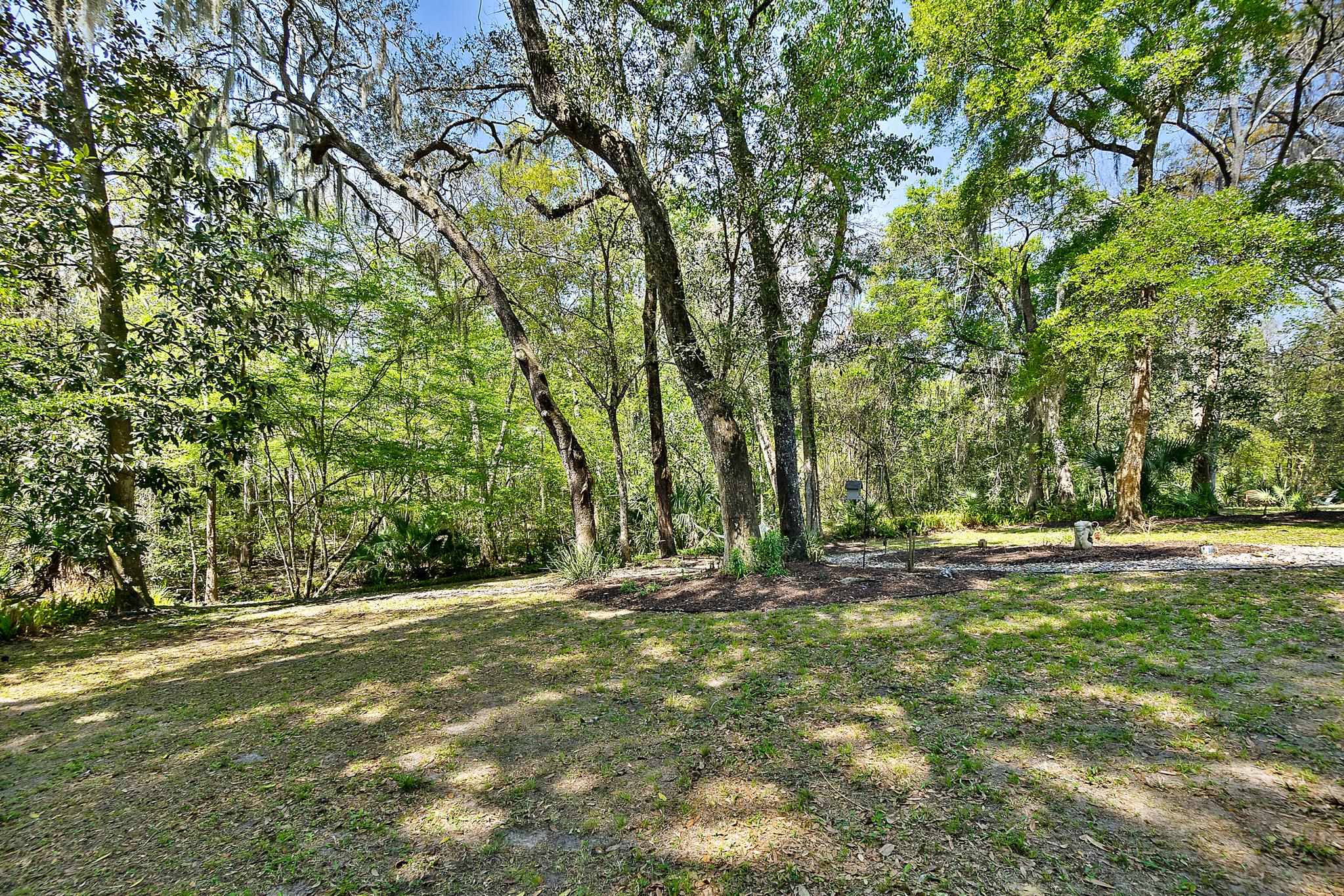 3253 Turtle Creek Road St. Augustine, FL 32086 - Photo 37 of 40 a backyard of a house with lots of green space