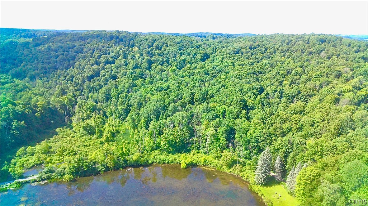 5902 Chamberlain Road Hamilton, NY 13346 - Photo 6 of 9 From reservoir Pointed north east