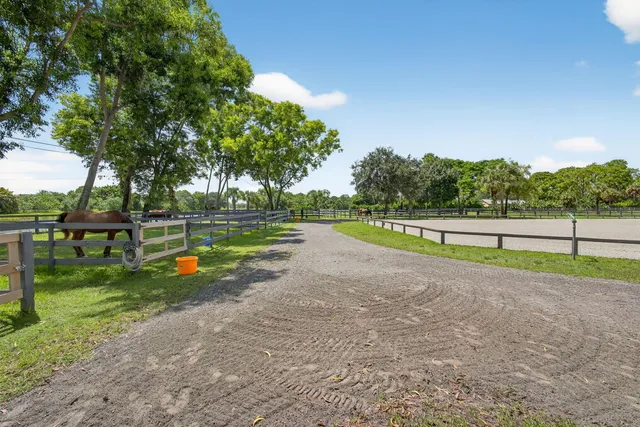 a view of a park with tree s
