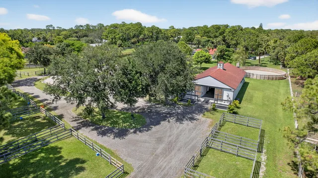 a park with large trees