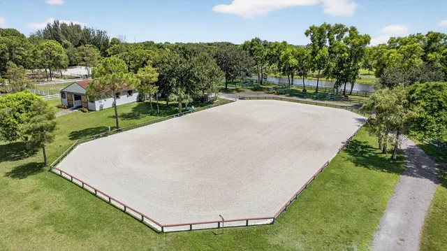 a view of a park with large trees