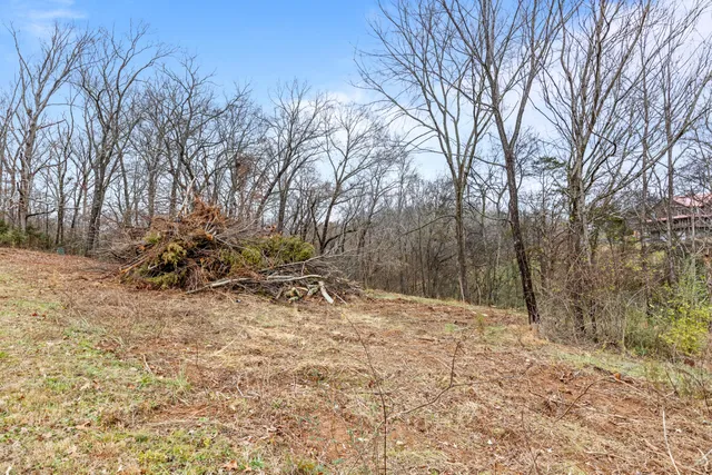 $25,000 | 0 Scenic Hollow Drive, Dunlap, TN 37327