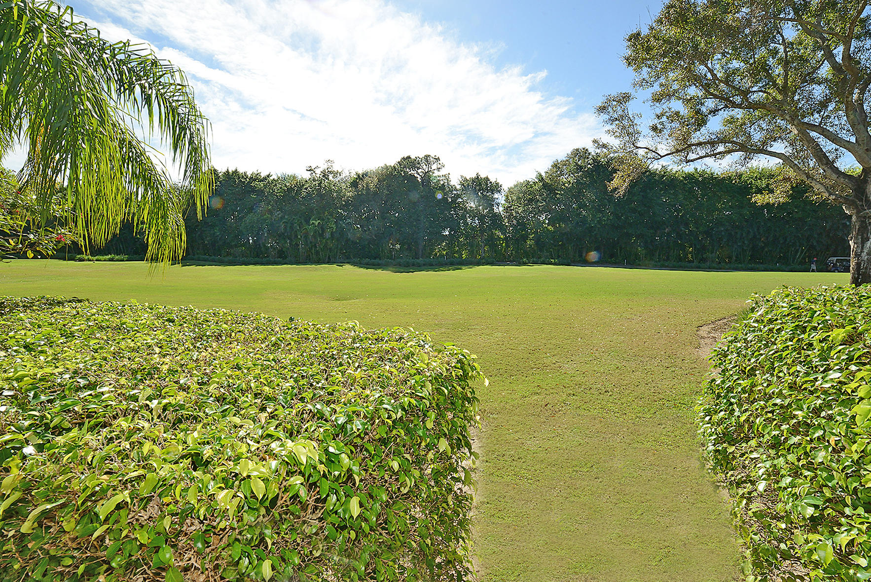 2350 Northwest 53rd Street Boca Raton, FL 33496 - Photo 36 of 36 DSC_0185A