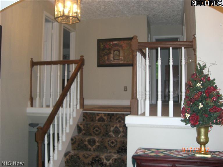 8856 Knauf Road Canfield, OH 44406 - Photo 4 of 23 Gallery Image 4