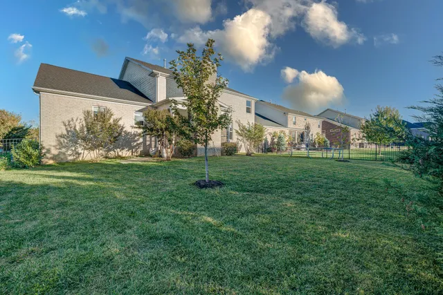 a view of a big yard