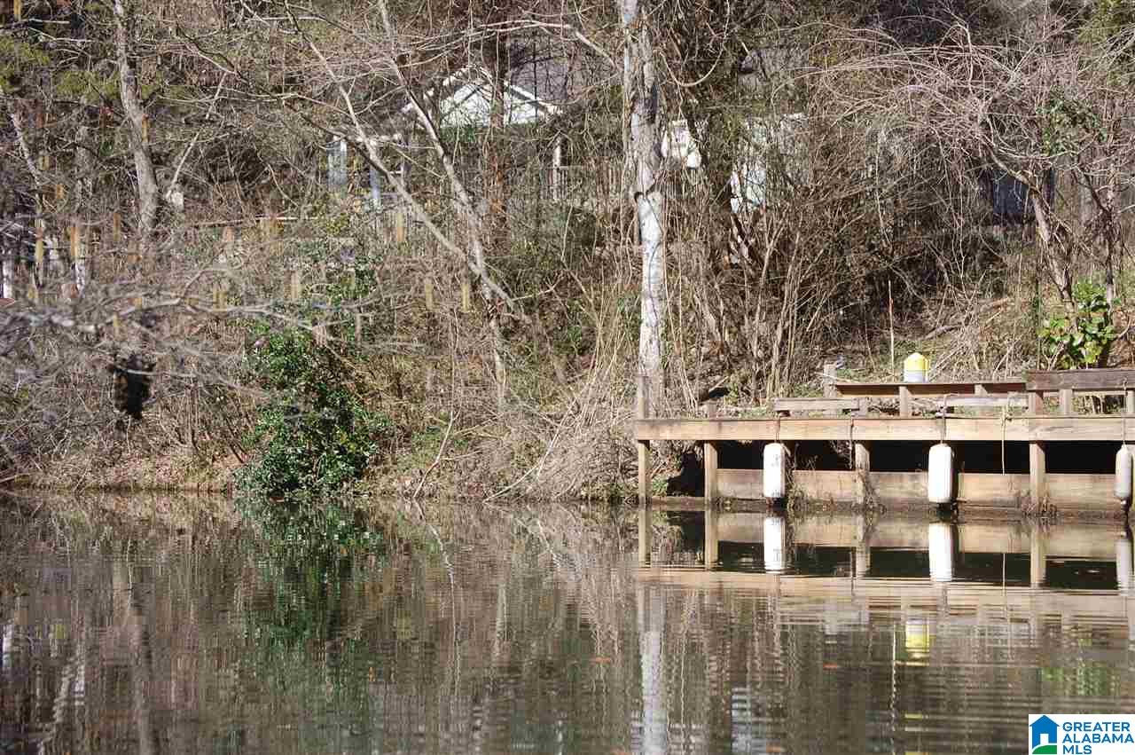0 Carleton Point, Unit 12 Wilsonville, AL 35186 - Photo 12 of 13
