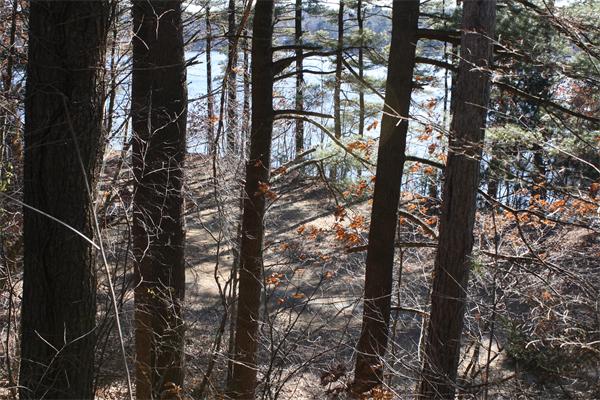 42 Bay View Road Wellesley, MA 02482 - Photo 9 of 9 Gallery Image 9