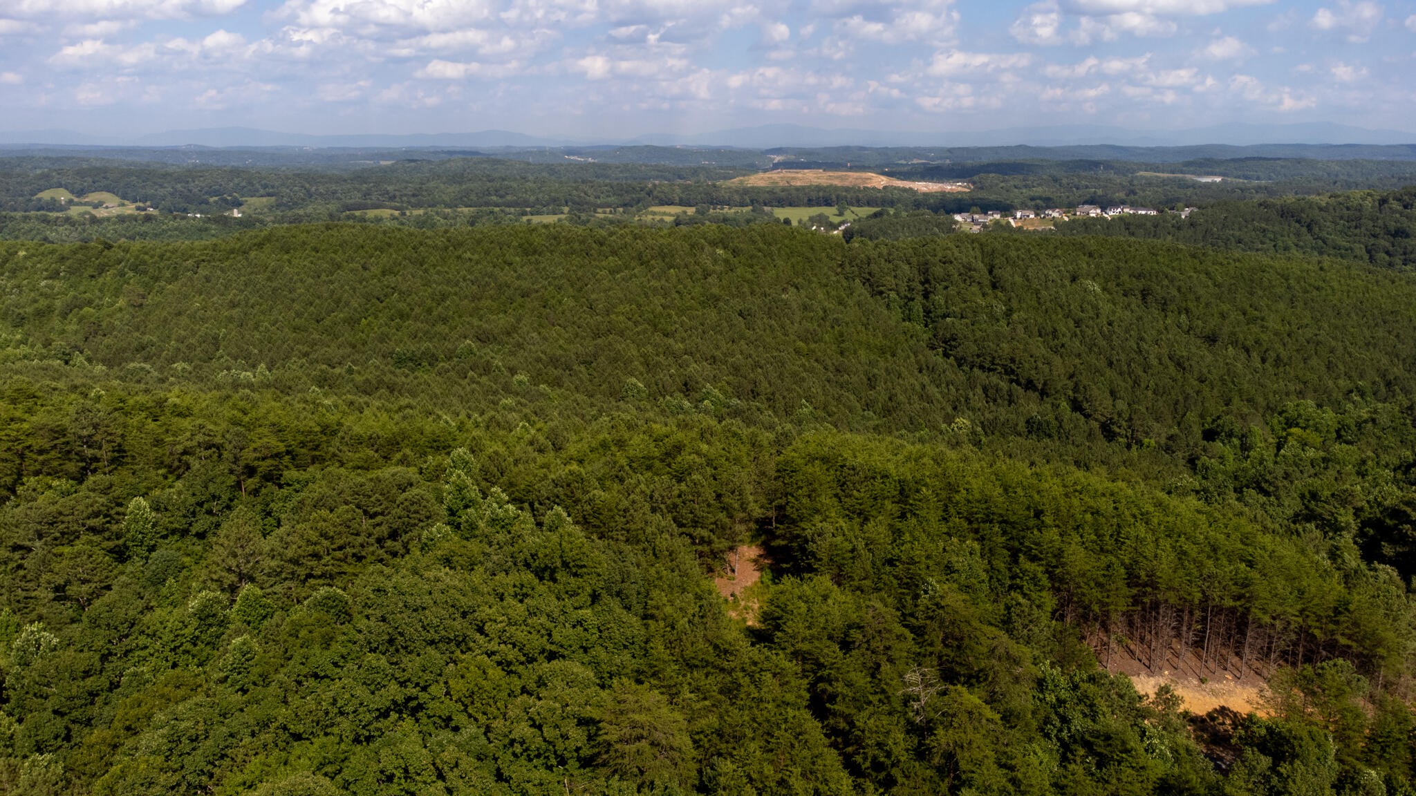 5 Owl Hollow Road Southwest McDonald, TN 37353 - Photo 28 of 32