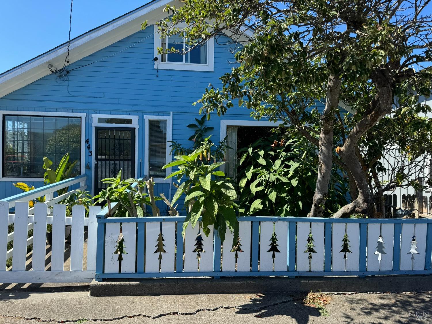 a front view of a house with plants