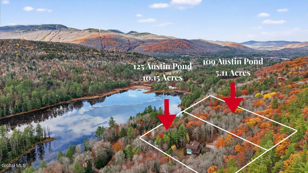 125 Austin Pond Road Johnsburg, NY 12853 - Photo 77 of 80 125 Austin Pond