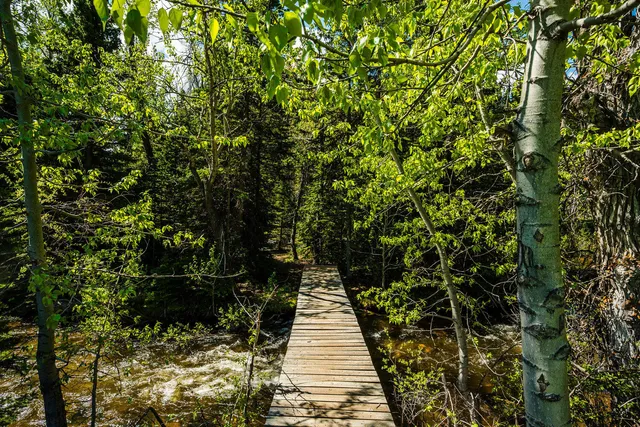 $839,000 | 77 Blacktooth Road, Sheridan, WY 82801