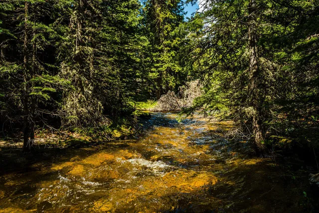 $839,000 | 77 Blacktooth Road, Sheridan, WY 82801