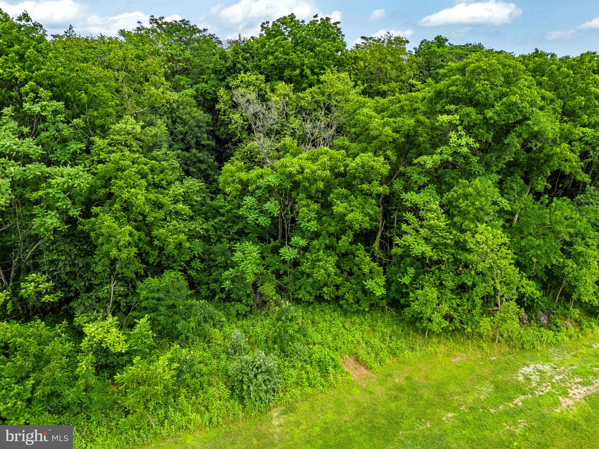 860 Summit Point Road Berryville, VA 22611 - Photo 18 of 20