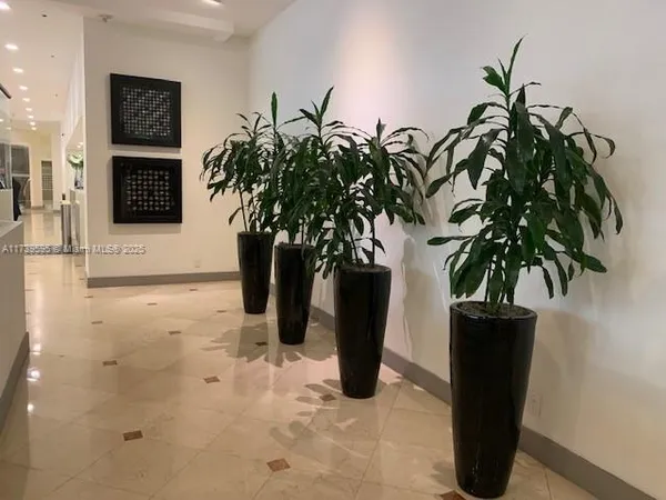 a view of a potted plants with palm trees