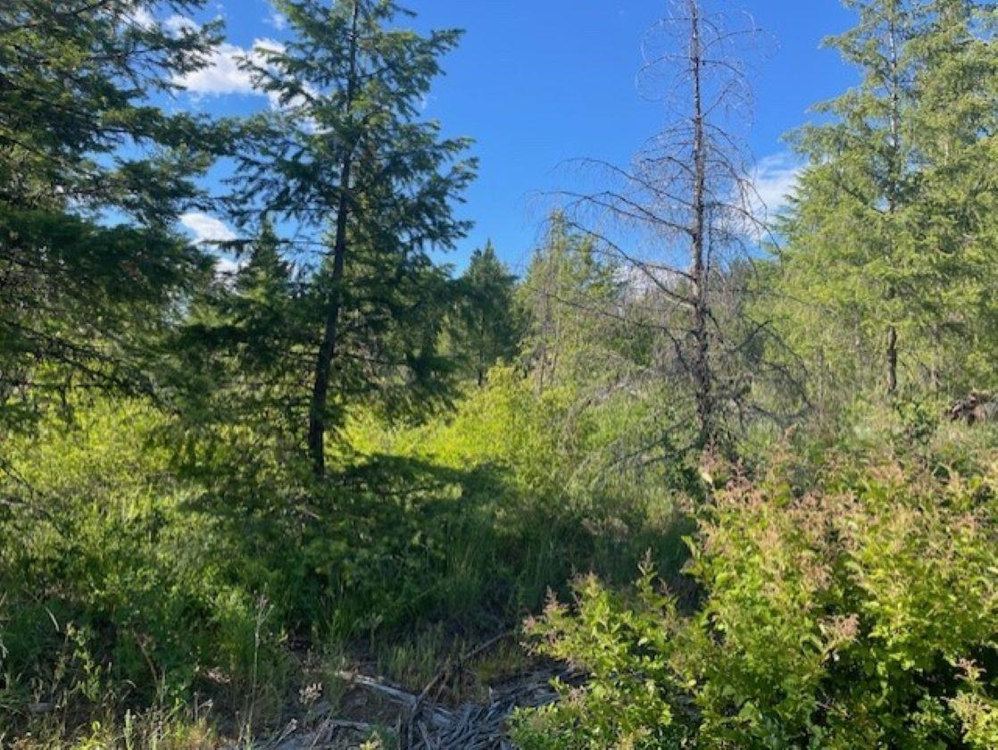 Nkn Bead Lake Road Oldtown, ID 83822 - Photo 7 of 27