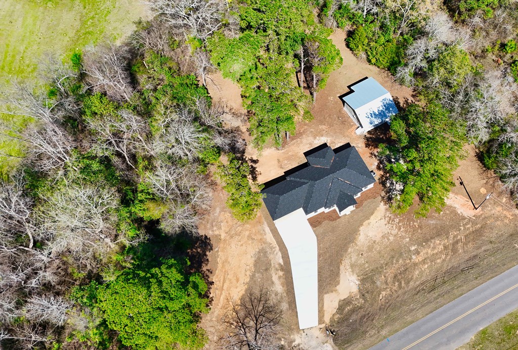 5619 Lucy Grade Road Ashford, AL 36312 - Photo 2 of 33