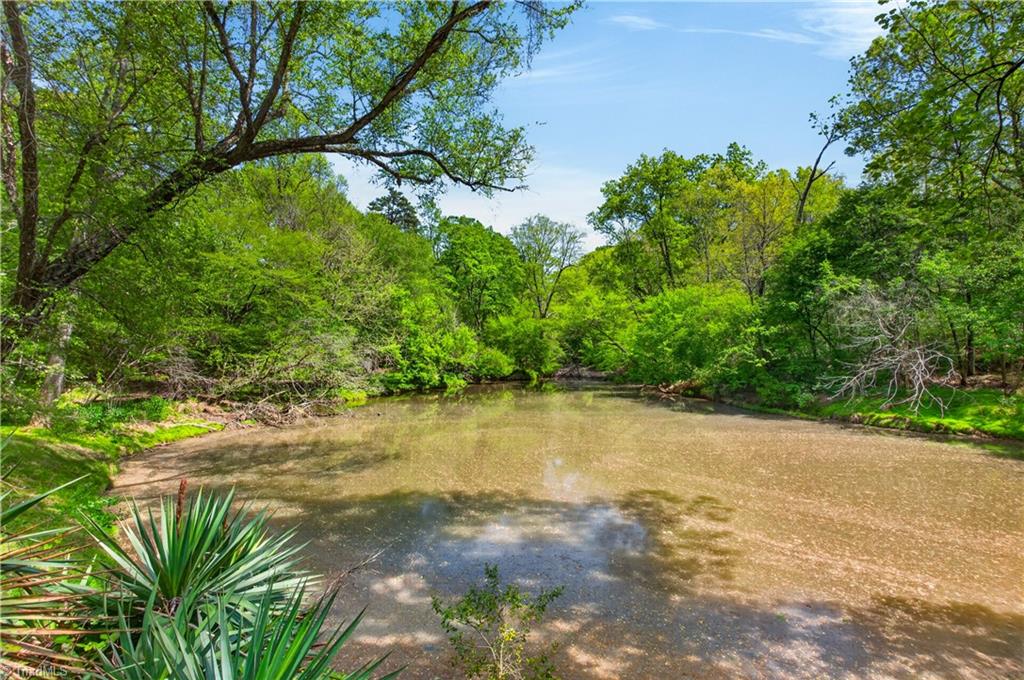 1719 Naomi Road Randleman, NC 27317 - Photo 28 of 36