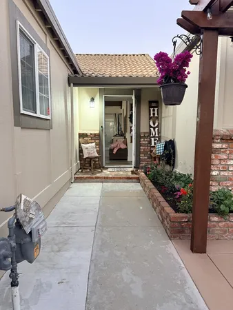 a view of a porch with potted plants
