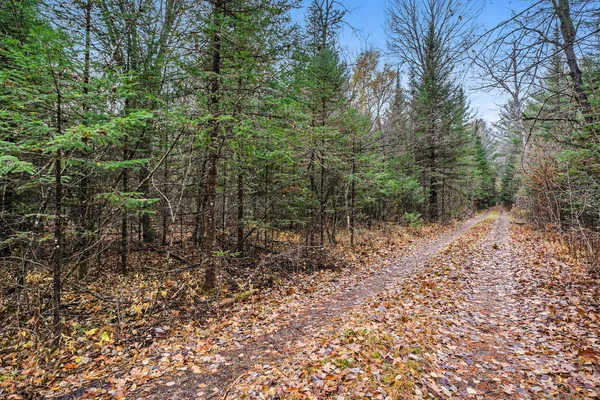 $195,000 | Vl Wildwood Road, Alger, MI 48610