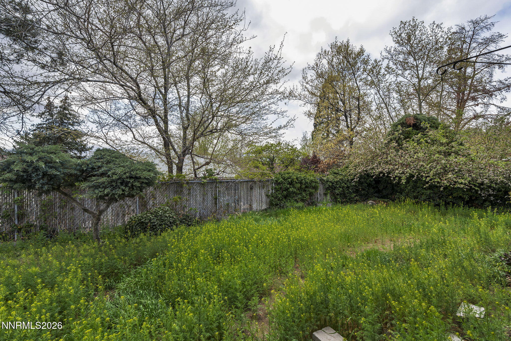 2550 Melody Lane Reno, NV 89512 - Photo 32 of 32 Backyard