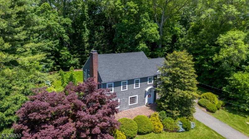 11 Yorke Road Mountain Lakes, NJ 07046 - Photo 2 of 50