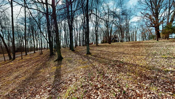 a view of outdoor space with garden