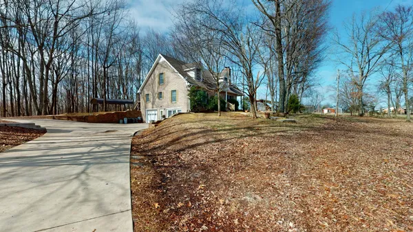 a view of road with large trees