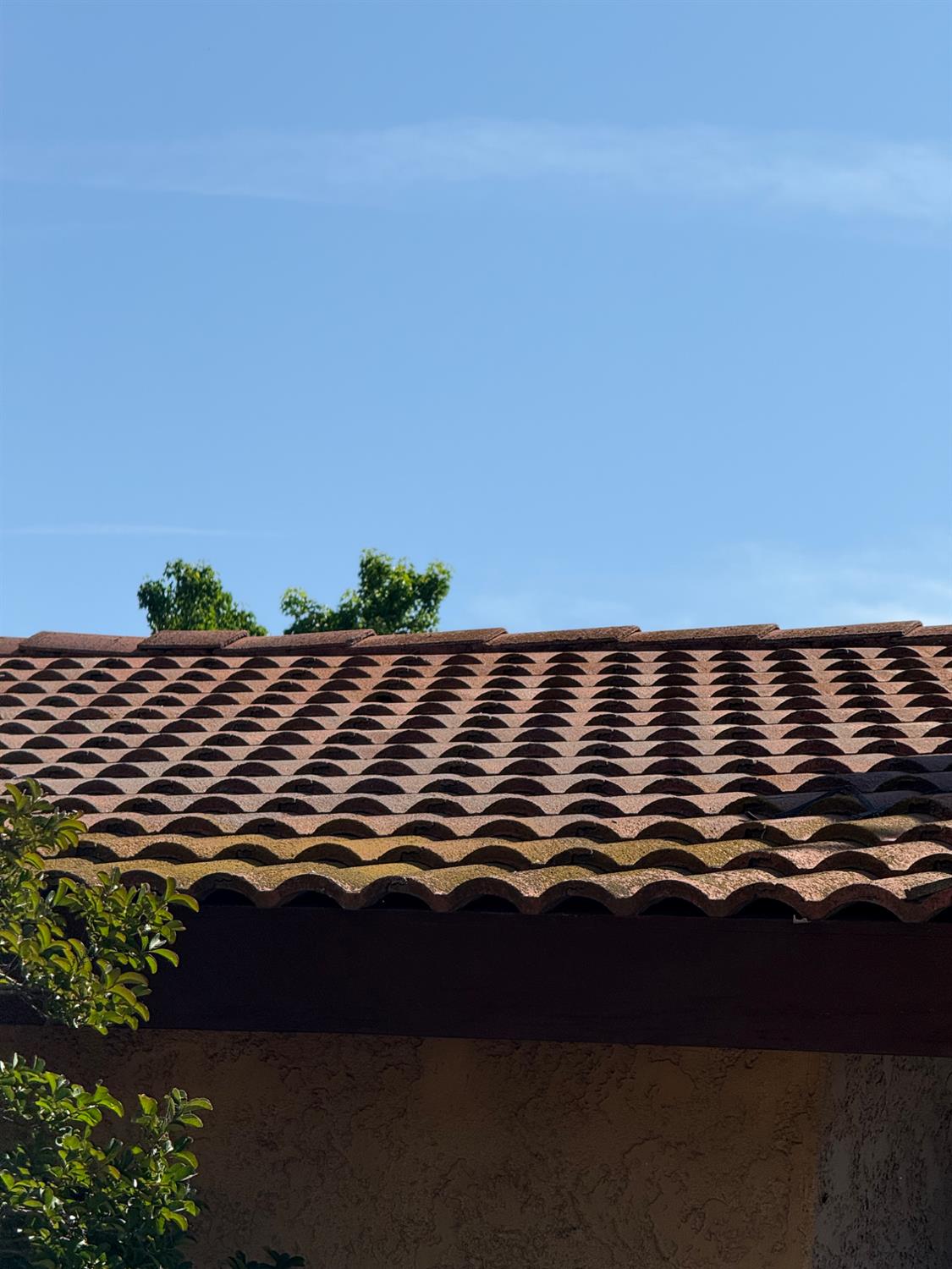 537 North Granada Drive Madera, CA 93637 - Photo 19 of 27 a view of outdoor space with outside view