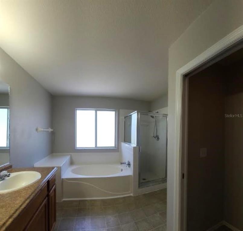 1501 Rincon Drive Wesley Chapel, FL 33544 - Photo 20 of 45 Gallery Image 20