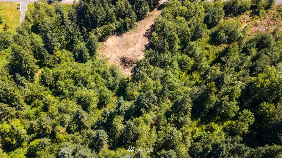 1420 Brown Road West Chehalis, WA 98532 - Photo 3 of 9