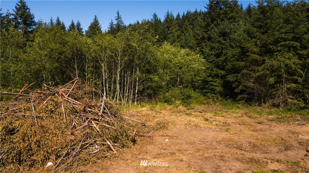 1420 Brown Road West Chehalis, WA 98532 - Photo 4 of 9