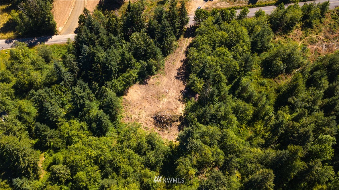 1420 Brown Road West Chehalis, WA 98532 - Photo 8 of 9