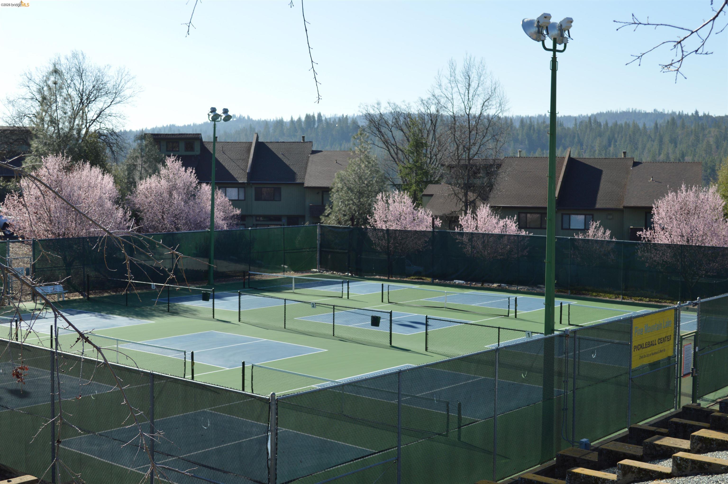 19266 Ferretti Road Groveland, CA 95321 - Photo 36 of 50 View of tennis court