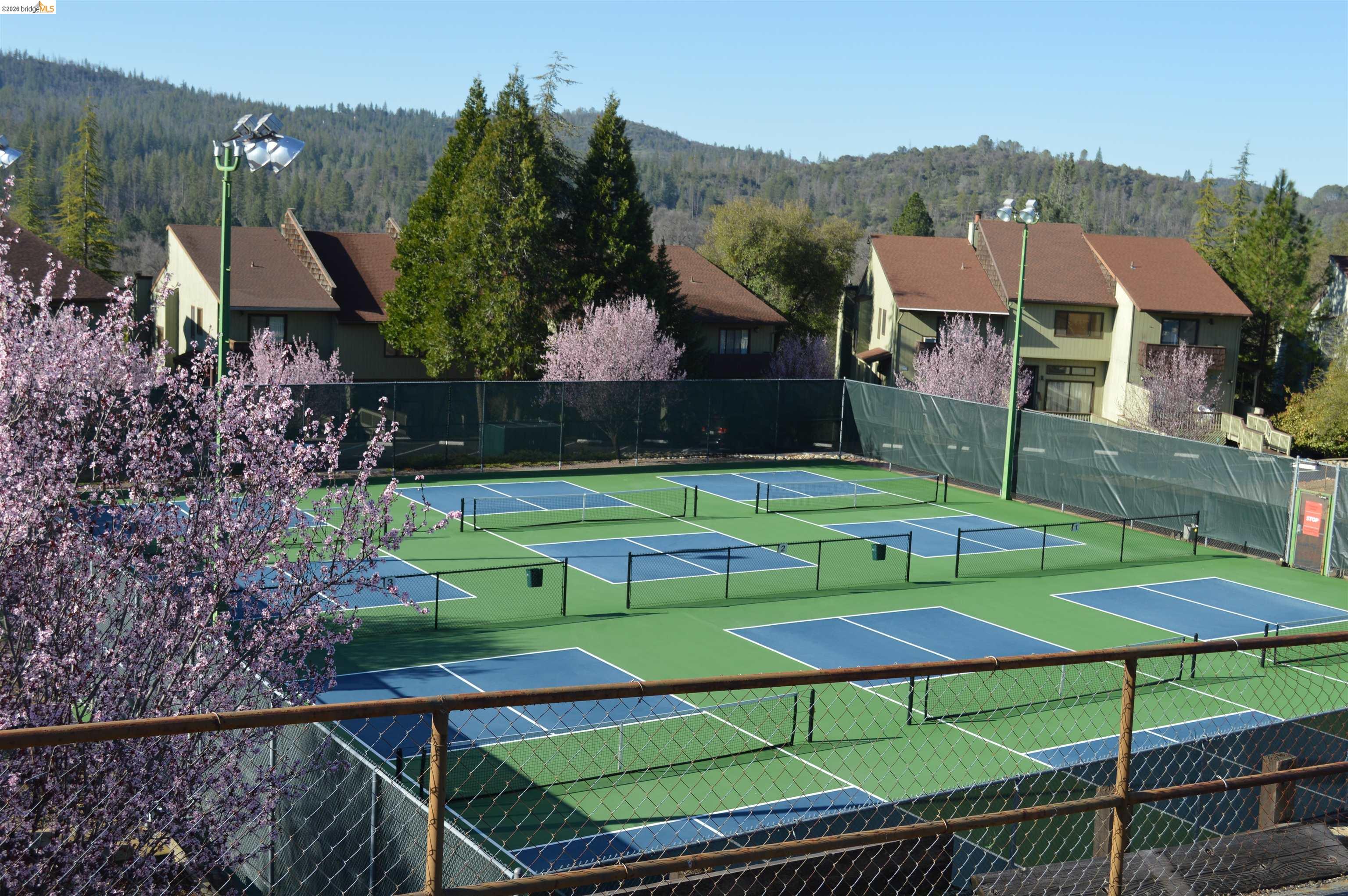 19266 Ferretti Road Groveland, CA 95321 - Photo 37 of 50 View of tennis court with a view of trees