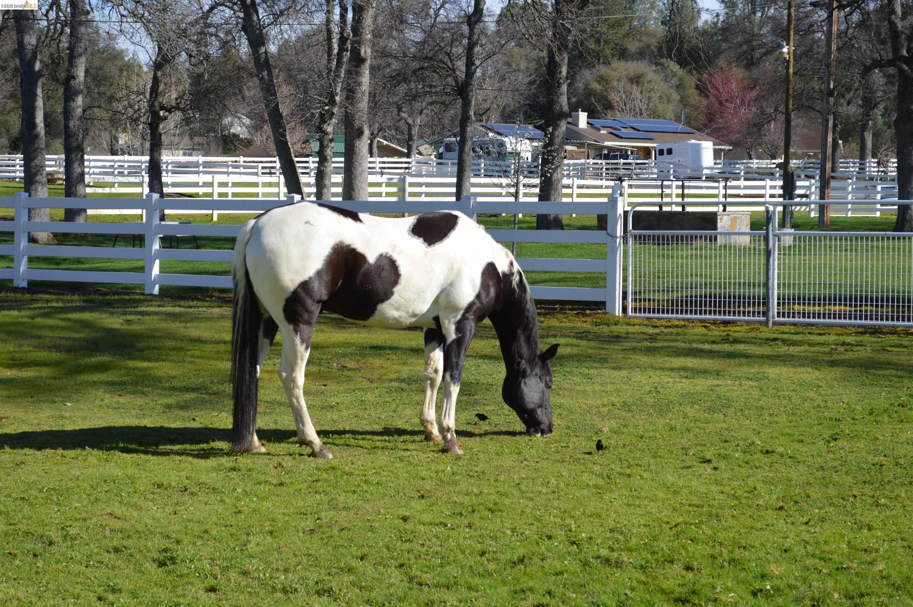 19266 Ferretti Road Groveland, CA 95321 - Photo 38 of 50 View of horse barn