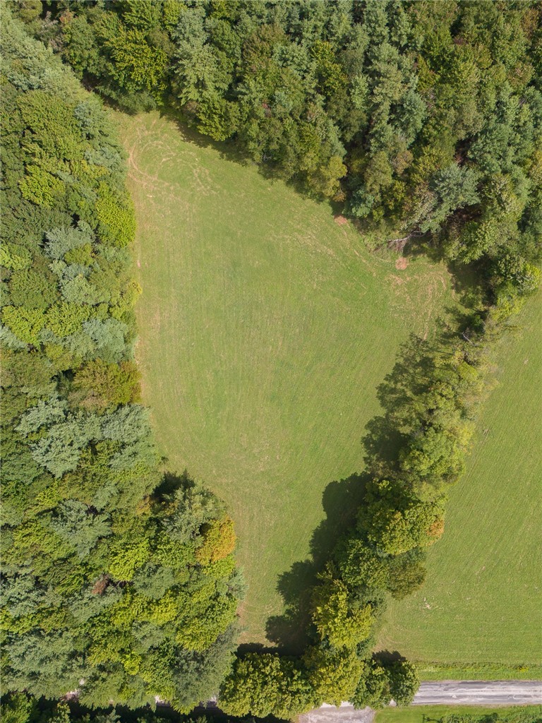 92 Stone House Road Bloomville, NY 13739 - Photo 1 of 1 Gallery Image 1