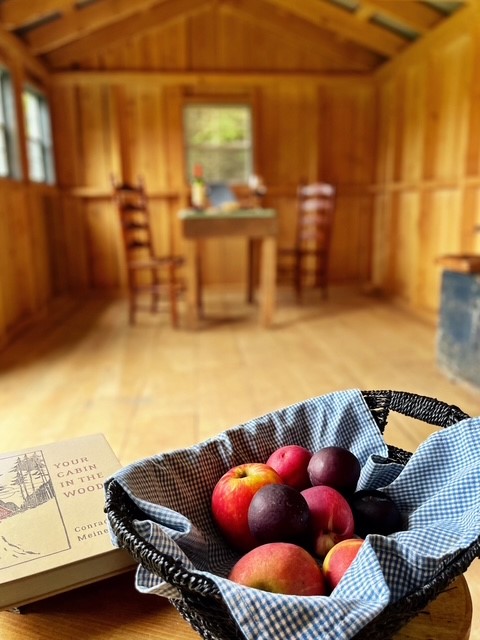 92 Stone House Road Bloomville, NY 13739 - Photo 15 of 16