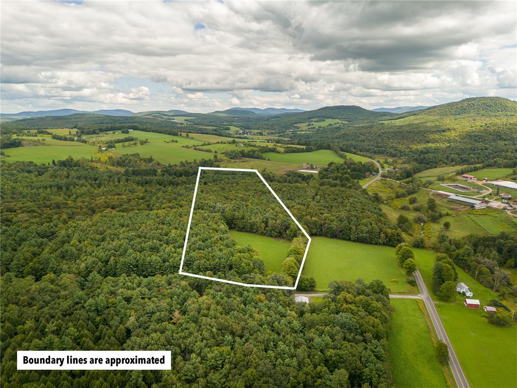 92 Stone House Road Bloomville, NY 13739 - Photo 2 of 16