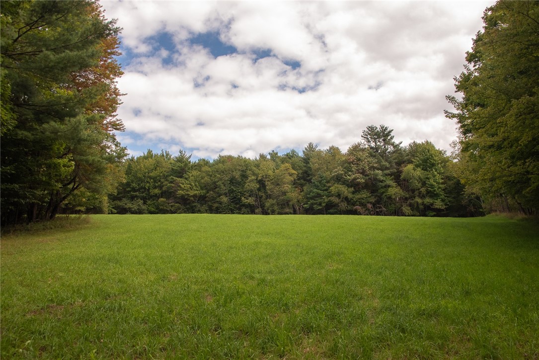 92 Stone House Road Bloomville, NY 13739 - Photo 3 of 16